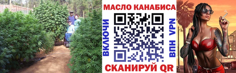 MEGA   Зуевка  ТГК THC oil 